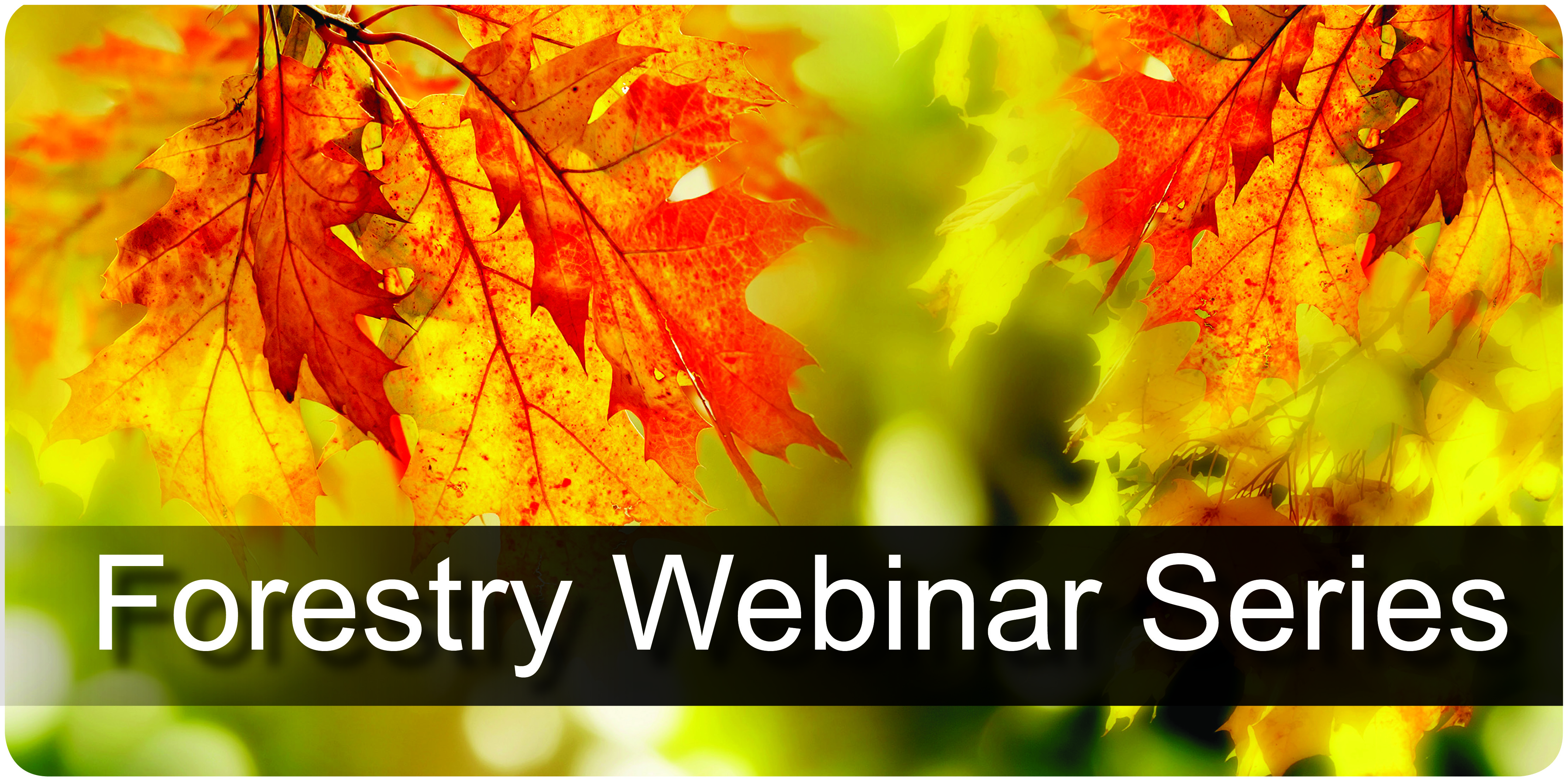 Forestry Webinar Series