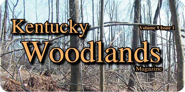 Kentucky Woodlands Magazine