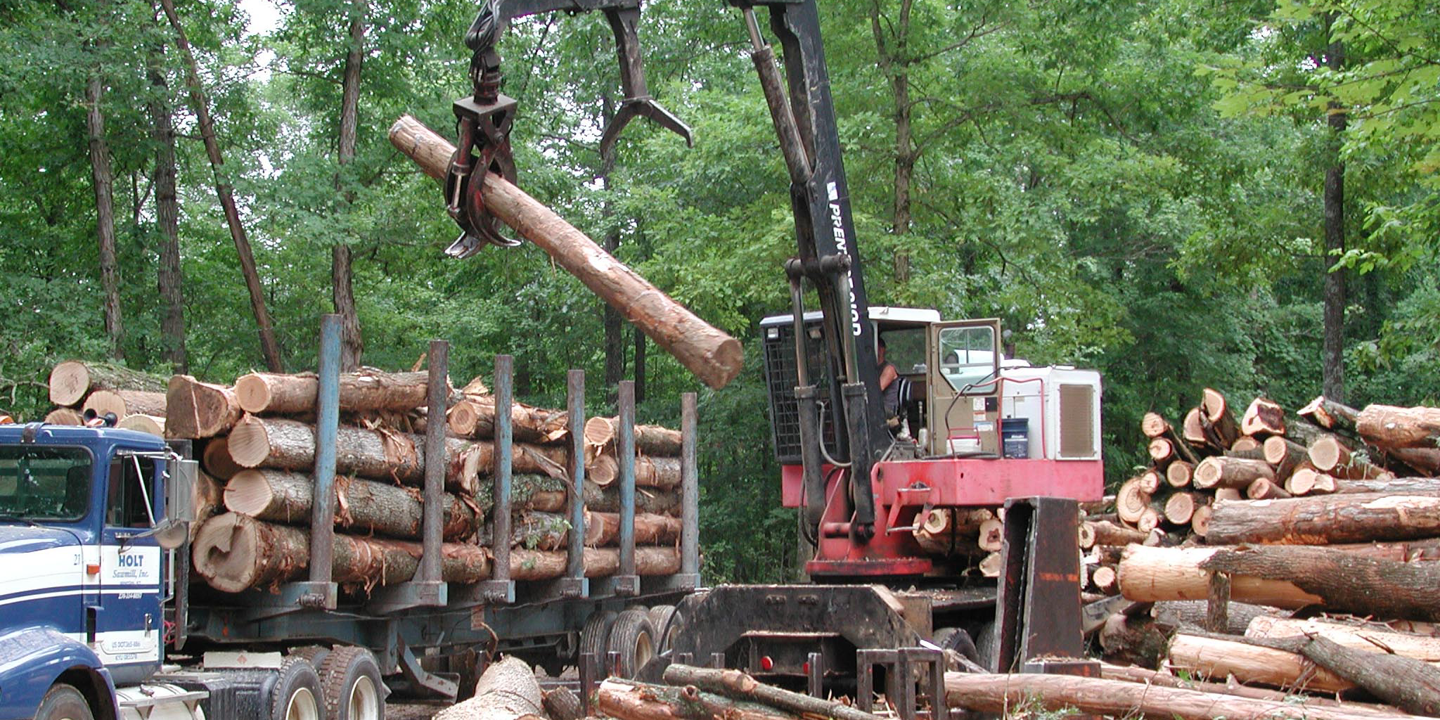 Logging