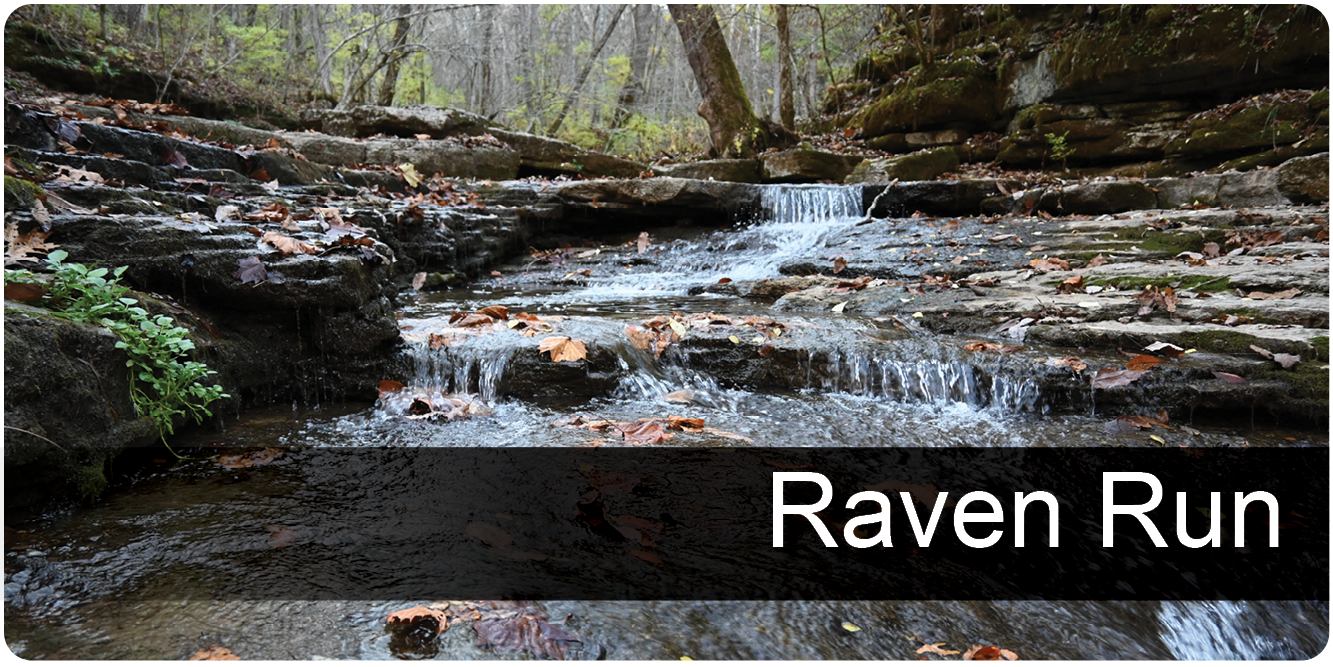 Raven Run