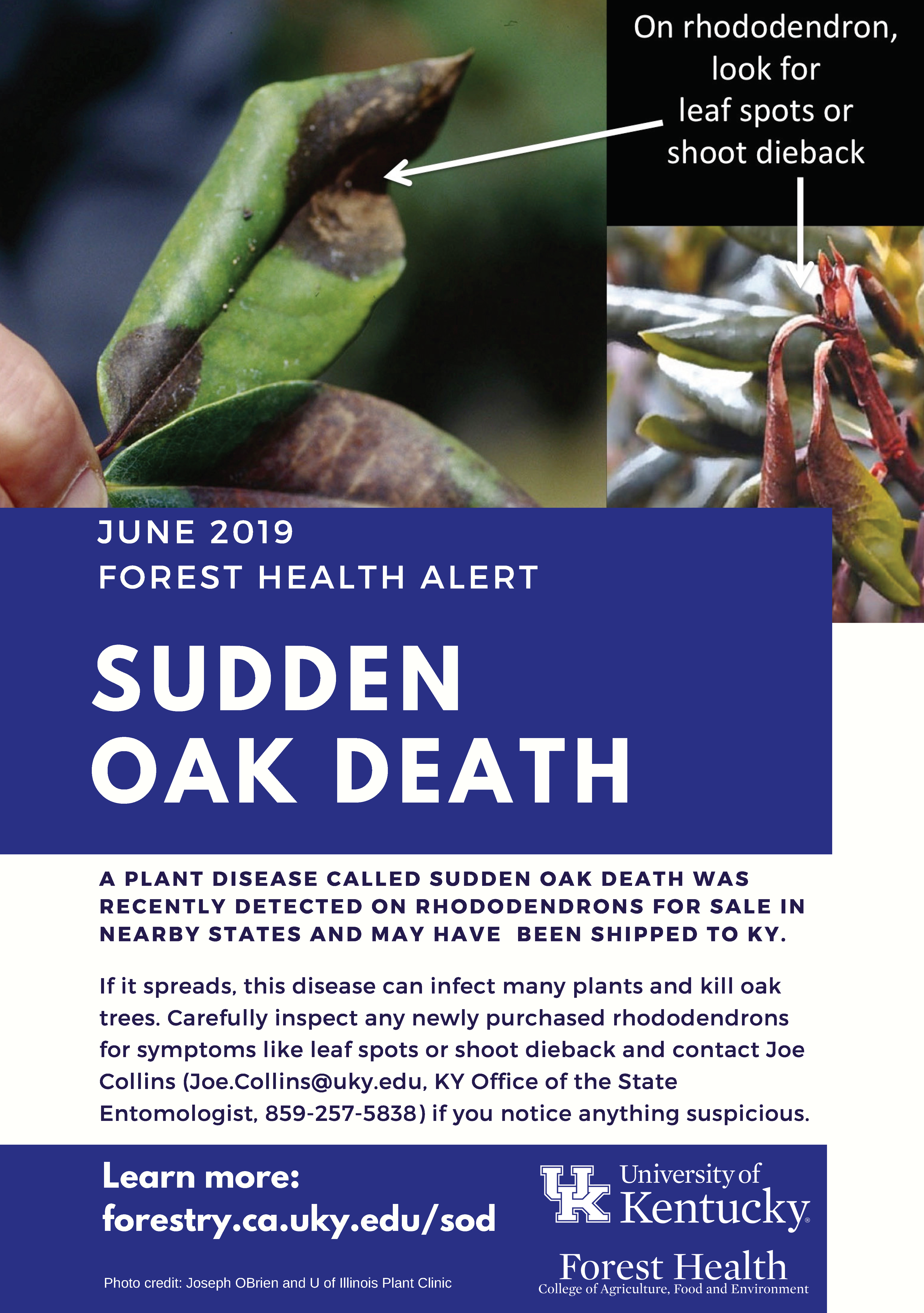 Forest Health Alert