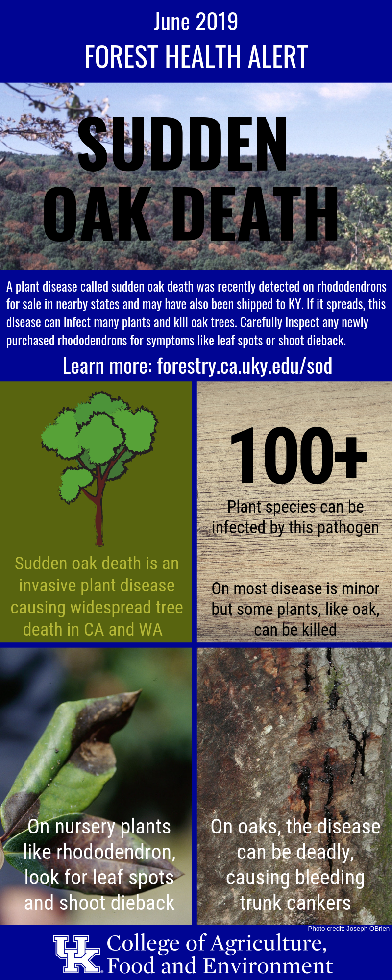 Sudden Oak Death