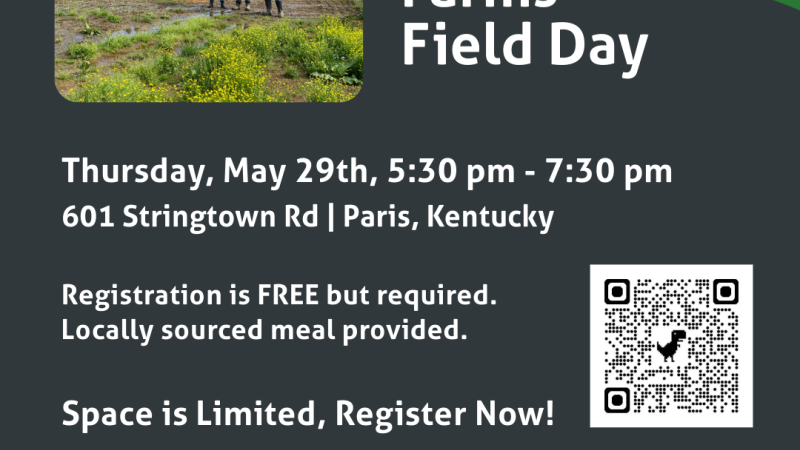 Field Day