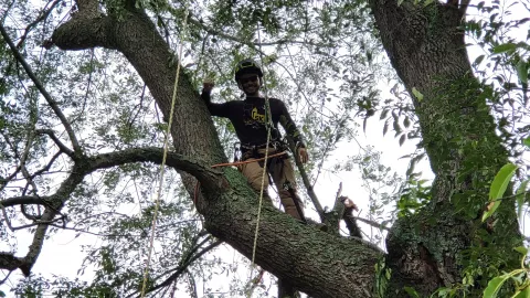 Photo of forestry student Austin F.