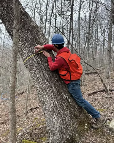 Photo of Spring Field Semester