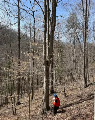 Photo of Spring Field Semester