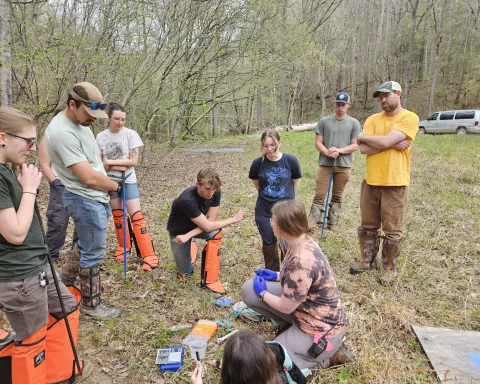 Photo of Spring Field Semester
