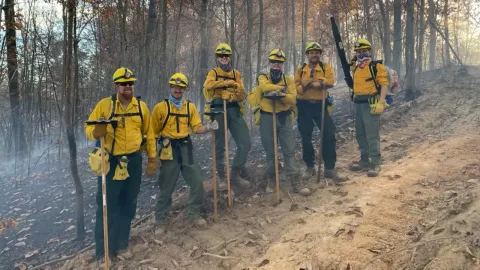 Photo of Fire Cats