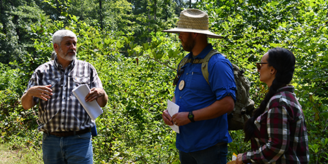 Consulting Foresters