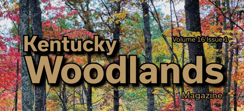 Kentucky Woodlands Magazine