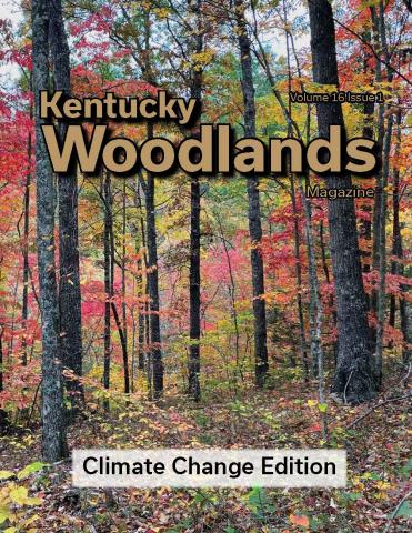 KY Woodlands Magazine