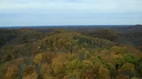 Photo of landscape and spatial ecology research area